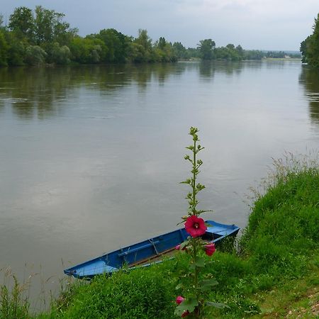 Bed and Breakfast Escale De Loire Chouzé-sur-Loire Zewnętrze zdjęcie