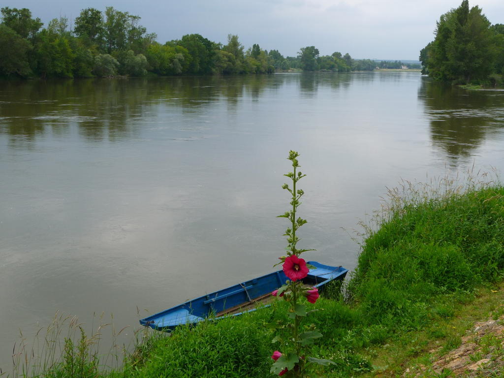 Bed and Breakfast Escale De Loire Chouzé-sur-Loire Zewnętrze zdjęcie