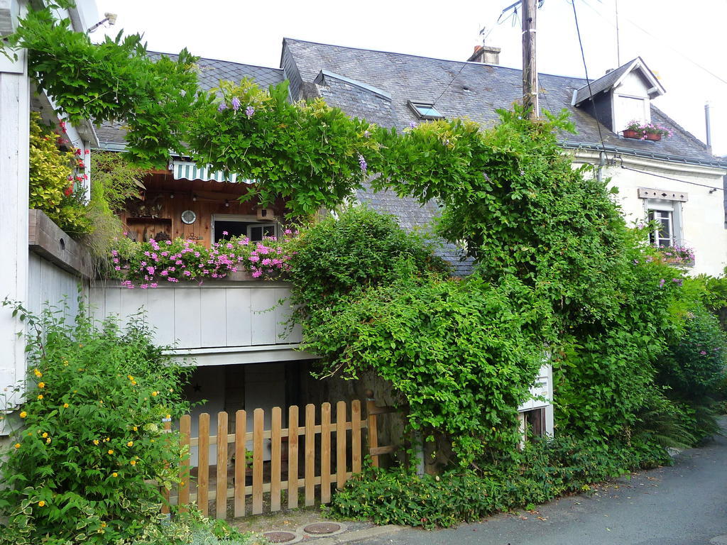 Bed and Breakfast Escale De Loire Chouzé-sur-Loire Zewnętrze zdjęcie