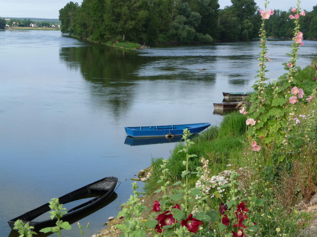 Bed and Breakfast Escale De Loire Chouzé-sur-Loire Zewnętrze zdjęcie